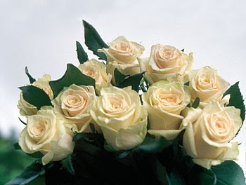 Kwiaciarnia Upominki, Ziemkiewicz Agata, Kwiaciarnia w Zakroczym