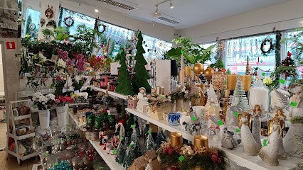 Kwiaciarnia. WIOLETTA. Duże Centrum Kwiatowe. Kwiaty. Wiązanki. Wieńce. Akcesoria Kwiatowe., Kwiaciarnia w Ostrów Wielkopolski