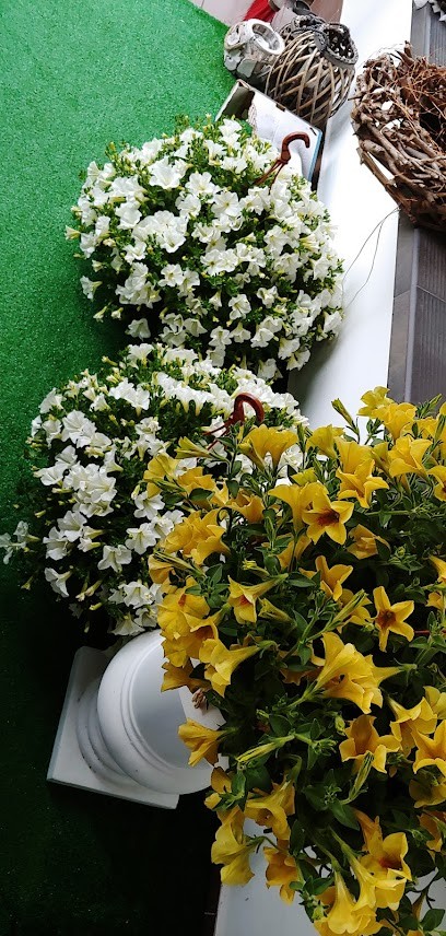 Ogrodnictwo Placuch, Kwiaciarnia w Bielsko-Biała