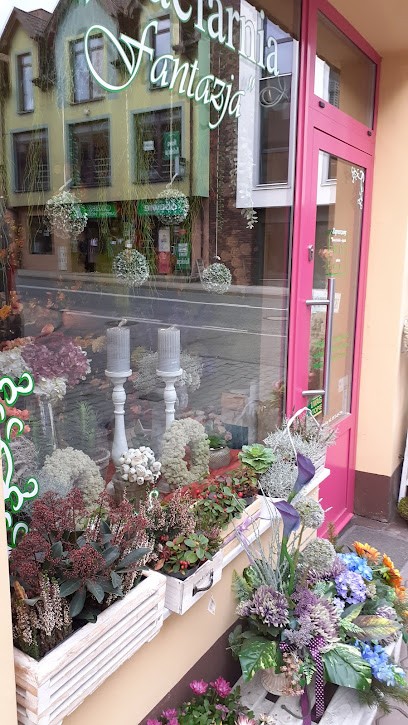 Kwiaciarnia FANTAZJA Limanowa ul.Krótka 9, Kwiaciarnia w Limanowa