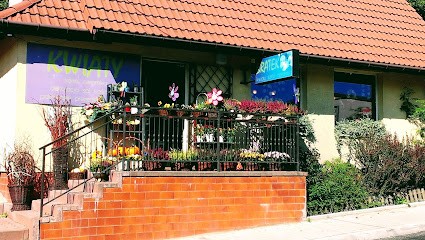 Kwiaciarnia Bratek - Grażyna Skałka, Kwiaciarnia w Myślenice