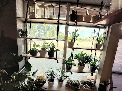 Kwiaciarnia U Haliny, Kwiaciarnia w Żary