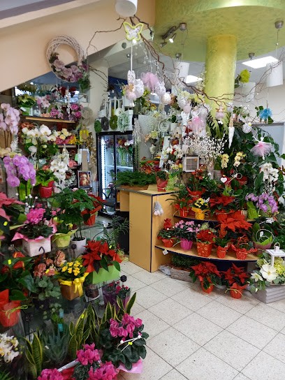 Kwiaciarnia Rzeszów / Bukiety Wiązanki, Kwiaciarnia w Rzeszów