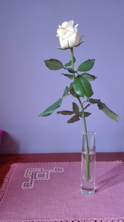 Paterek, Kwiaciarnia w Wałbrzych