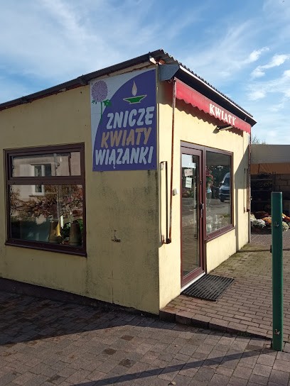 Floks Kazimiera Wyszyńska kwiaty, znicze, Kwiaciarnia w Witkowo