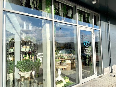 Kwiaciarnia Błękitny Bez, Kwiaciarnia w Reguły