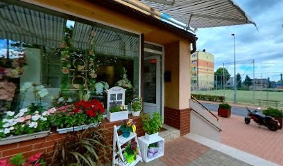 Kwiaciarnia Gardenia na Zielonej Górce, Kwiaciarnia w Leszno