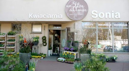 Kwiaciarnia Sonia Maria Serafinowicz, Kwiaciarnia w Podkowa Leśna