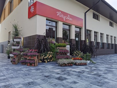 Kwiaciarnia Różyczka Sabina Kapera, Kwiaciarnia w Bolechowice