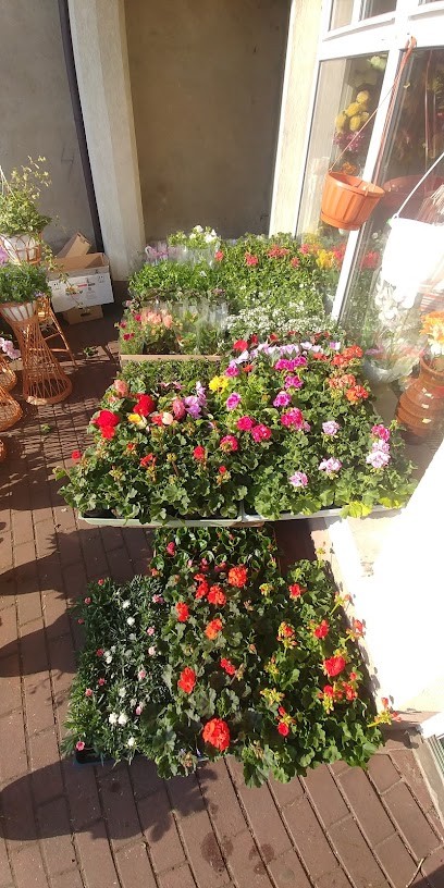 Power Flower Grzegorz Musiał, Kwiaciarnia w Poraj