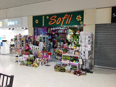 Sofii - kwiaciarnia, Kwiaciarnia w Zielona Góra