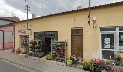 Koper Dawid. Kwiaciarnia, Kwiaciarnia w Włoszczowa