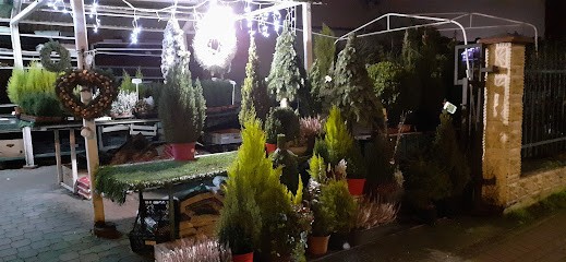 Kwiaciarnia Domogród, Kwiaciarnia w Gdynia