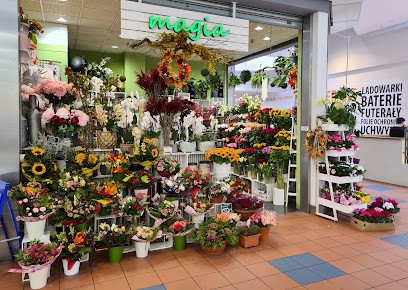 Magia, Kwiaciarnia w Krąków
