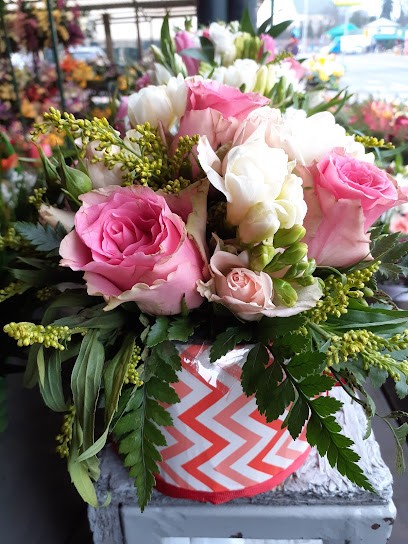 Kwiaciarnia Stefa, Kwiaciarnia w Warszawa