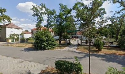 Złocień, Kwiaciarnia w Opole