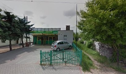 Frezja, Kwiaciarnia w Piła