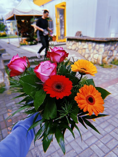 Kwiaciarnia Maja, Kwiaciarnia w Strzelce Opolskie