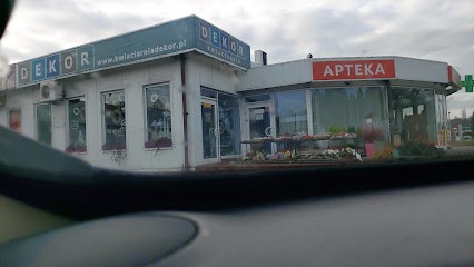 Kwiaciarnia Dekor, Kwiaciarnia w Jastrzębie-Zdrój