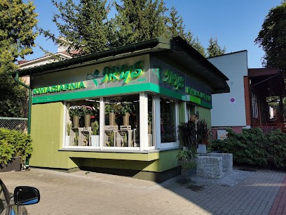 Kwiaciarnia Irys Jolanta Misiejuk, Kwiaciarnia w Białystok