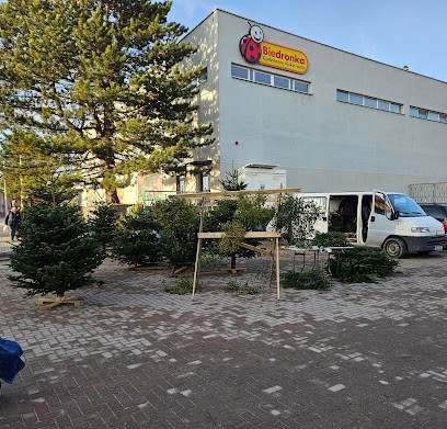 Sprzedaż choinek, Kwiaciarnia w Bystrzyca Kłodzka