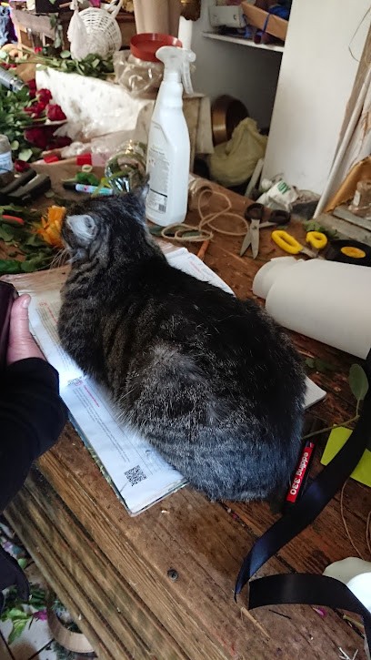 Bukieciarnia Atelier, Kwiaciarnia w Kęty