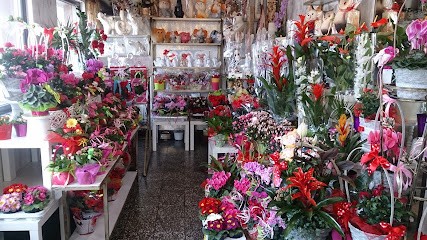Kwiaciarnia Wanda Konieczna, Kwiaciarnia w Milicz