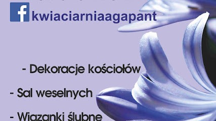 Kwiaciarnia Agapant, Kwiaciarnia w Stary Gózd