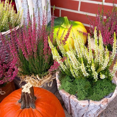 Kwiaciarnia - Kwiaty u Mariki, Kwiaciarnia w Kobiór