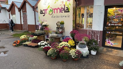 Agromela Kwiaciarnia, Kwiaciarnia w Ostróda