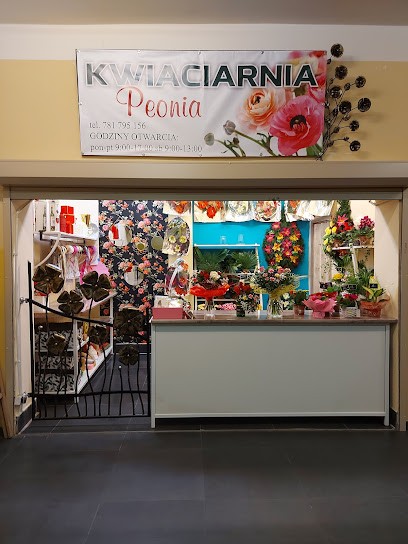 Kwiaciarnia Peonia Lądek Zdrój, Kwiaciarnia w Lądek-Zdrój