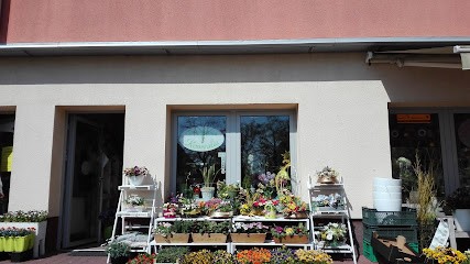 Republika Róż, Kwiaciarnia w Poznań