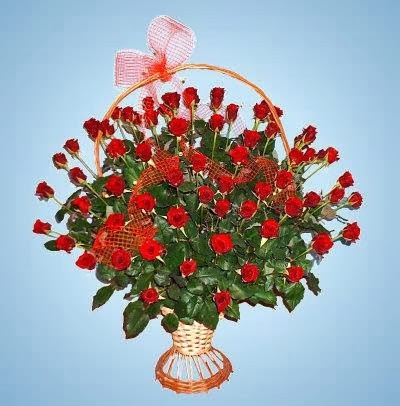 Przedsiębiorstwo Wielobranżowe RETRO, Kwiaciarnia w Elbląg