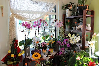 Bukieciarnia, Kwiaciarnia w Ostrowiec Świętokrzyski