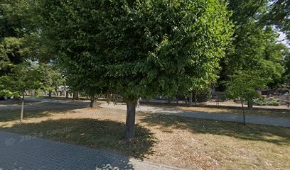 Olszewska Edyta. Kwiaciarnia, Kwiaciarnia w Szamotuły