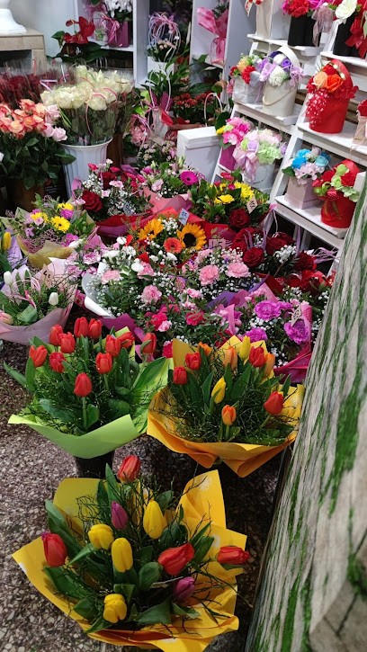 Kwiaciarnia - Kwiatowa Kraina, Kwiaciarnia w Dąbrowa Górnicza