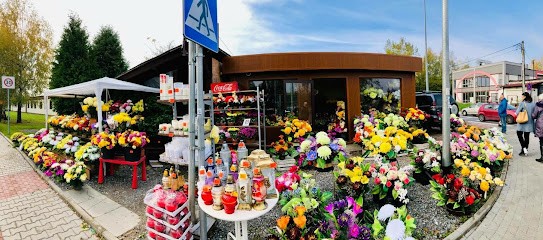 Anna, Kwiaciarnia w Krąków