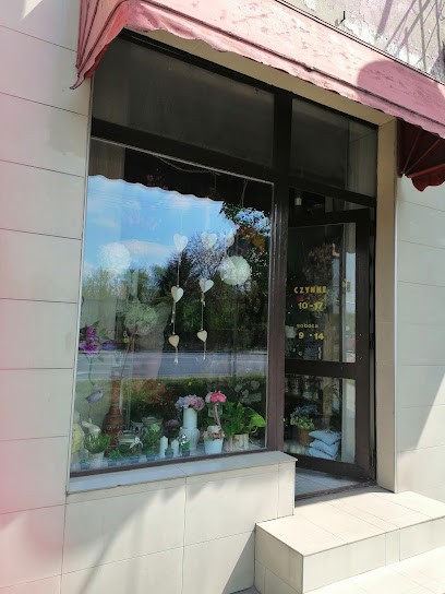 Aga kwiaciarnia, Kwiaciarnia w Koluszki