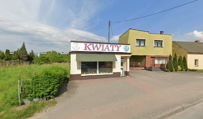 Wiosna. Kwiaciarnia, Kwiaciarnia w Krapkowice