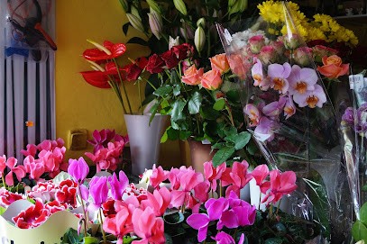 Kwiaciarnia Na Lwowskiej, Kwiaciarnia w Lublin