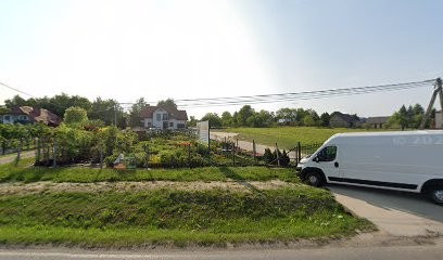 Agro-Mar. FHU. Bączek M., Kwiaciarnia w Dębno