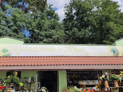 U Krysi. Kwiaciarnia, Kwiaciarnia w Zielona Góra