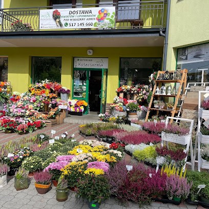 Kwiaciarnia MEGA, Kwiaciarnia w Grybów