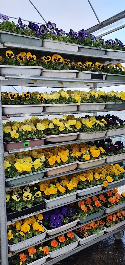 Przybylscy Ogrodnictwo, Kwiaciarnia w Serby