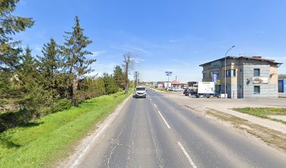 Orchidea. Centrum kwiatowe. Kwiaty cięte, doniczkowe. Goerick M., Kwiaciarnia w Braniewo