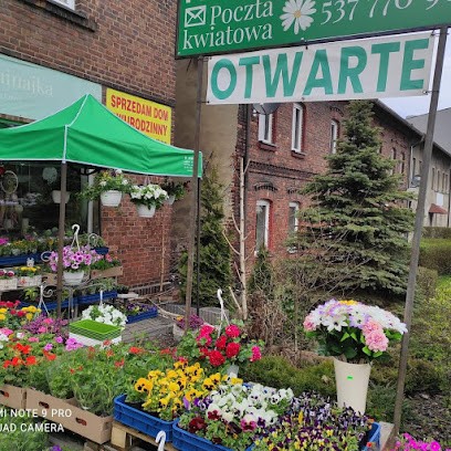 Niezapominajka - Kwiaciarnia Z Duszą, Kwiaciarnia w Łaziska Górne