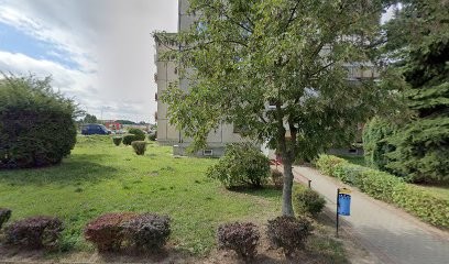 Margaretka. Kwiaciarnia. Nyczko M., Kwiaciarnia w Głogów