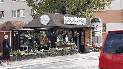 Kwiaciarnia Bajka Spychalskiego, Kwiaciarnia w Opole