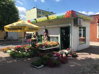 Kwiaciarnia Agnieszka Kurzyk, Kwiaciarnia w Opoczno