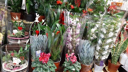 Kwiaciarnia Magnolia Karolina Zwierz, Kwiaciarnia w Siennica